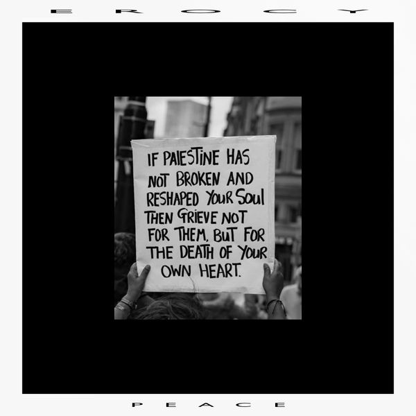 The album art for the single Peace, featuring a photo of an American protestor holding a sign that reads- If Palestine has not broken and reshaped your soul then grieve not for them but for the death of your own heart .